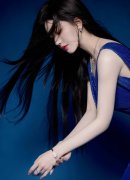 国产有粗有大有爽有黄